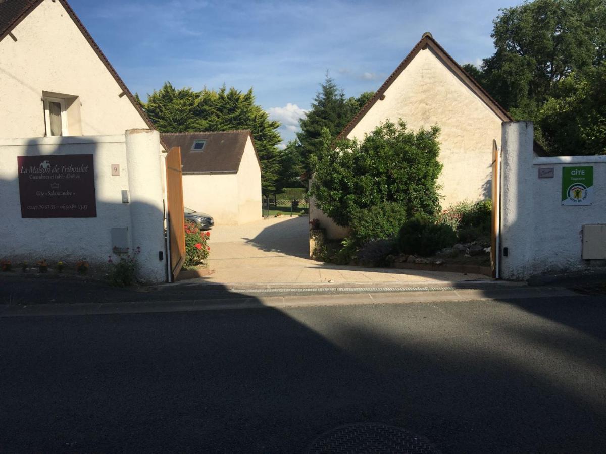 La Maison De Triboulet Chambres Et Table D'Hotes -Amboise- Pocé-sur-Cisse Eksteriør bilde